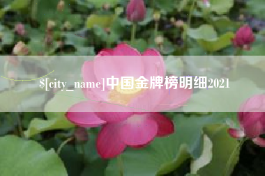 甘孜中国金牌榜明细2021