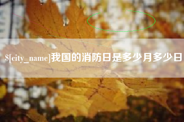 甘孜我国的消防日是多少月多少日