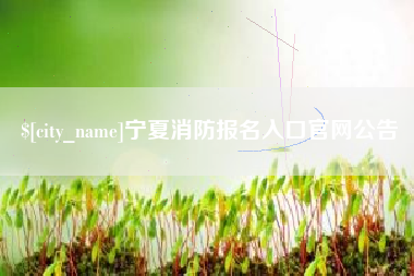 甘孜宁夏消防报名入口官网公告