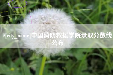 甘孜中国消防救援学院录取分数线公布