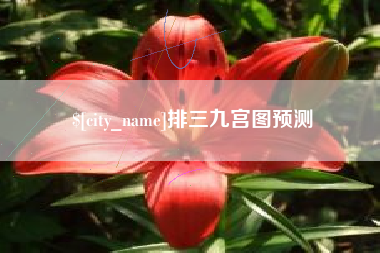 甘孜排三九宫图预测