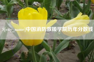甘孜中国消防救援学院历年分数线