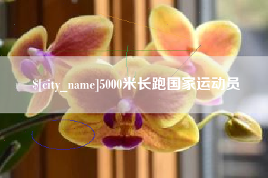 甘孜5000米长跑国家运动员