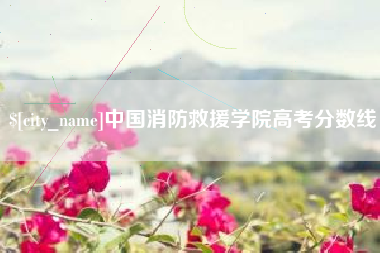 甘孜中国消防救援学院高考分数线