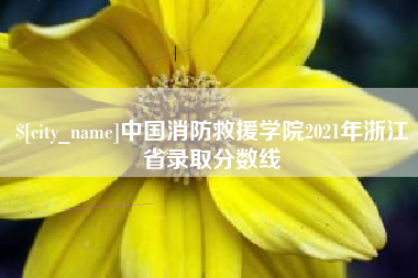 甘孜中国消防救援学院2021年浙江省录取分数线