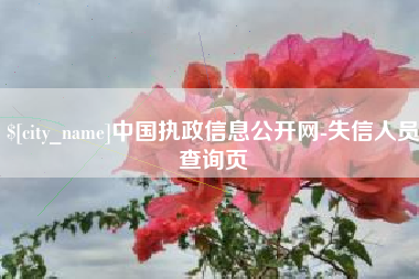 甘孜中国执政信息公开网-失信人员查询页