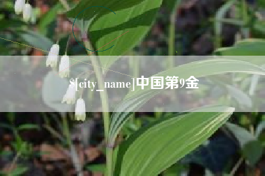 甘孜中国第9金