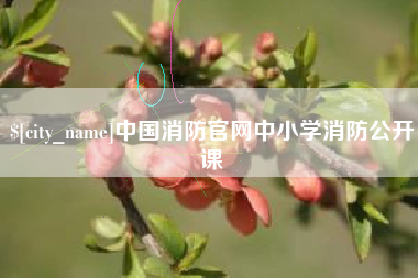 甘孜中国消防官网中小学消防公开课