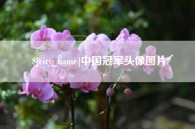 甘孜中国冠军头像图片