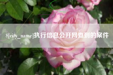 甘孜执行信息公开网查到的案件