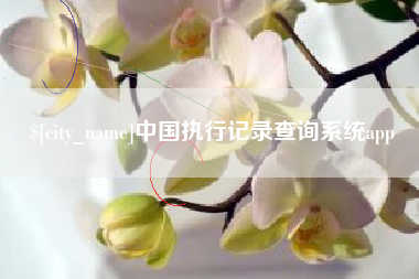 甘孜中国执行记录查询系统app