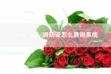甘孜消防证怎么查询系统