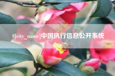 甘孜中国执行信息公开系统