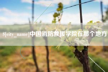 甘孜中国消防救援学院在那个地方