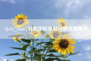 甘孜消防学校录取分数线是多少