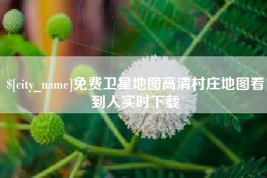 甘孜免费卫星地图高清村庄地图看到人实时下载