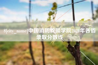甘孜中国消防救援学院2020年各省录取分数线