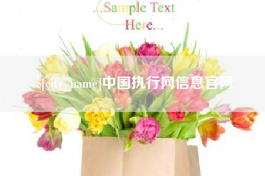 甘孜中国执行网信息官网