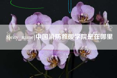甘孜中国消防救援学院是在哪里