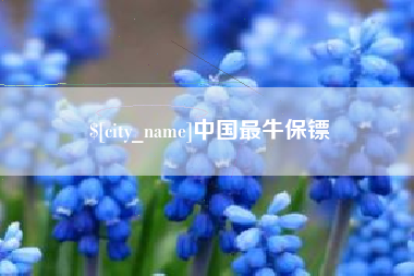 甘孜中国最牛保镖