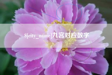 甘孜九宫对应数字