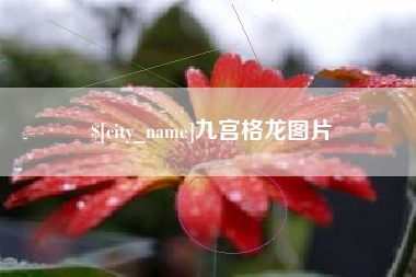 甘孜九宫格龙图片