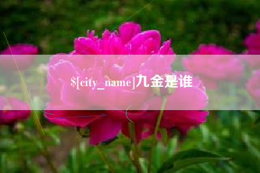 甘孜九金是谁