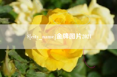 甘孜金牌图片2021