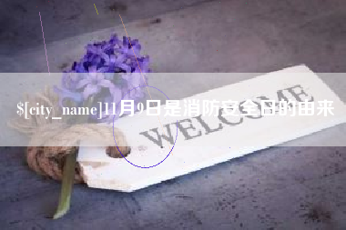 甘孜11月9日是消防安全日的由来