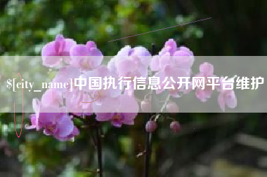 甘孜中国执行信息公开网平台维护