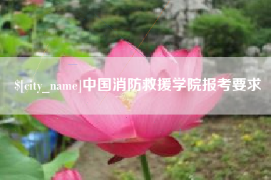 甘孜中国消防救援学院报考要求