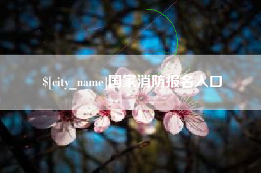 甘孜国家消防报名入口