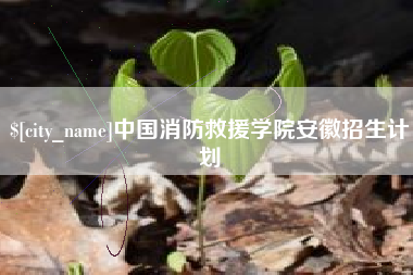 甘孜中国消防救援学院安徽招生计划