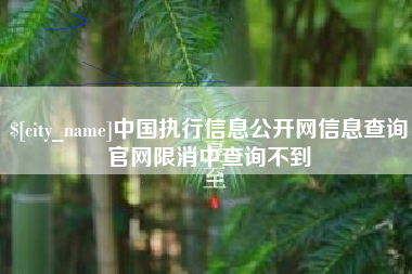 甘孜中国执行信息公开网信息查询官网限消中查询不到