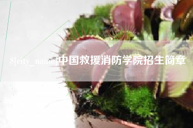 甘孜中国救援消防学院招生简章