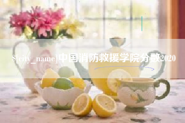 甘孜中国消防救援学院分数2020