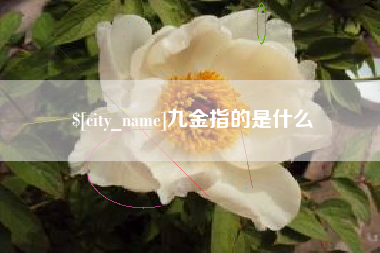 甘孜九金指的是什么