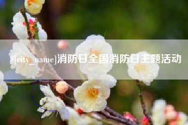 甘孜消防日全国消防日主题活动