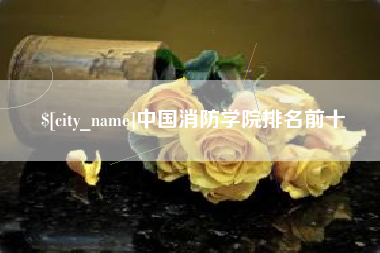 甘孜中国消防学院排名前十