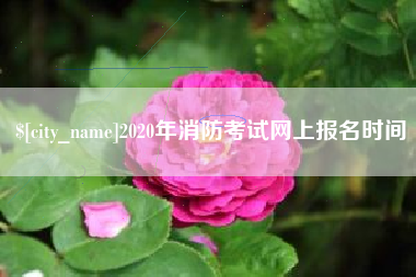 甘孜2020年消防考试网上报名时间