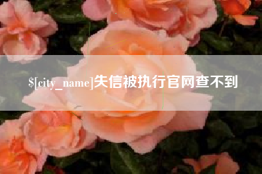 甘孜失信被执行官网查不到
