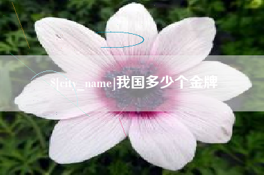 甘孜我国多少个金牌
