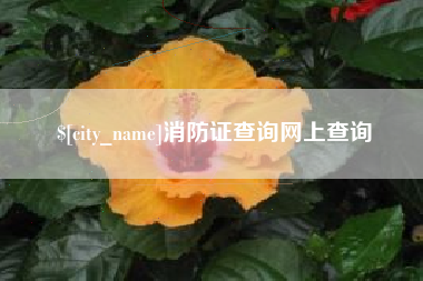 甘孜消防证查询网上查询