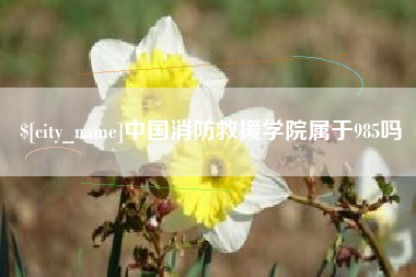 甘孜中国消防救援学院属于985吗