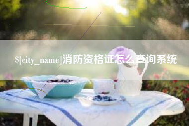 甘孜消防资格证怎么查询系统