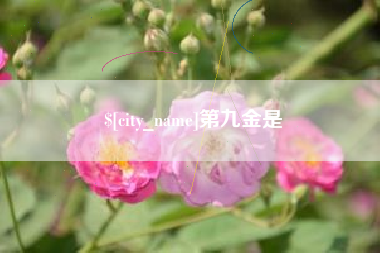 甘孜第九金是