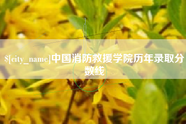 甘孜中国消防救援学院历年录取分数线