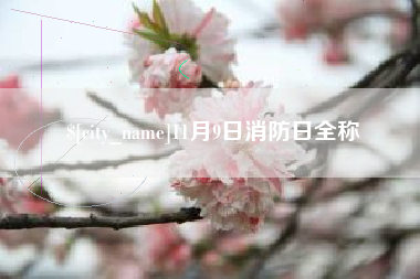 甘孜11月9日消防日全称