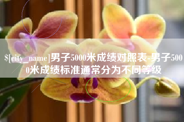 甘孜男子5000米成绩对照表-男子5000米成绩标准通常分为不同等级