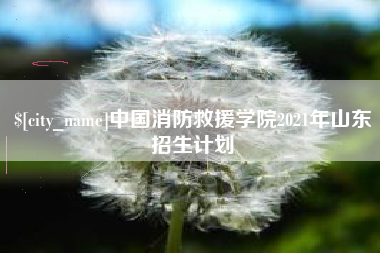 甘孜中国消防救援学院2021年山东招生计划